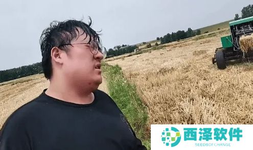 Doinb复出彻底无望,老头杯0:3耻辱出局,直言以后不想再玩LOL了