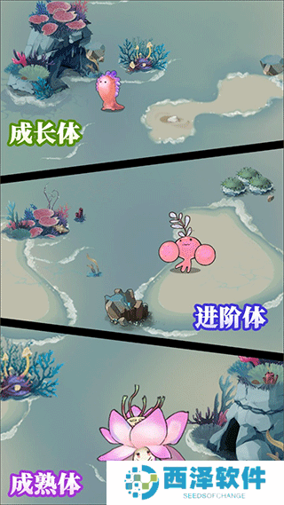 森林里的小女巫