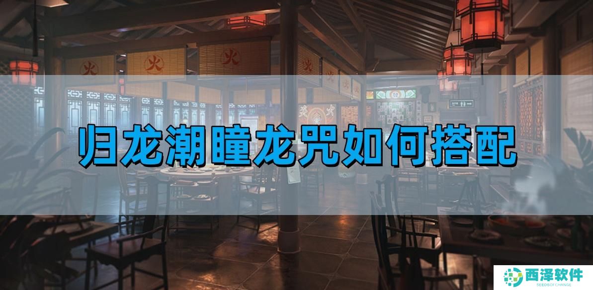归龙潮瞳龙咒如何搭配