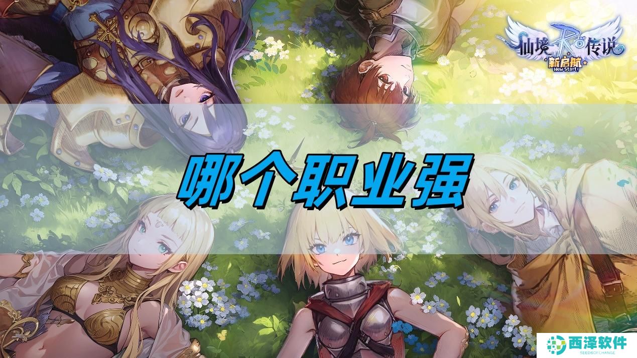 仙境传说新启航哪个职业强