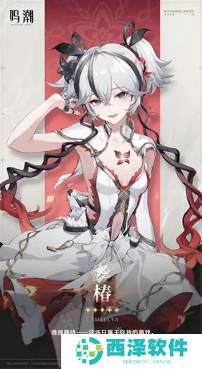鸣潮椿技能介绍以及培养材料