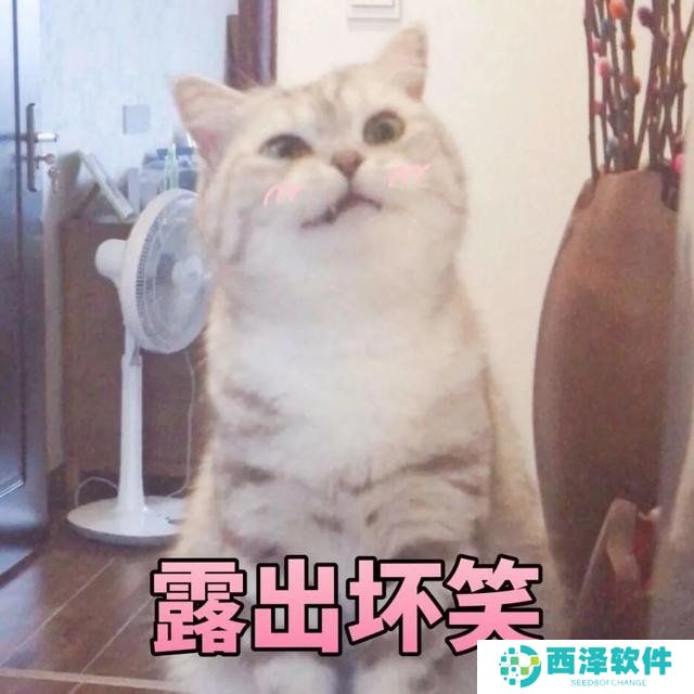 猫猫能有什么坏心眼呢梗意思说明