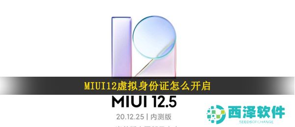 MIUI12虚拟身份证怎么开启