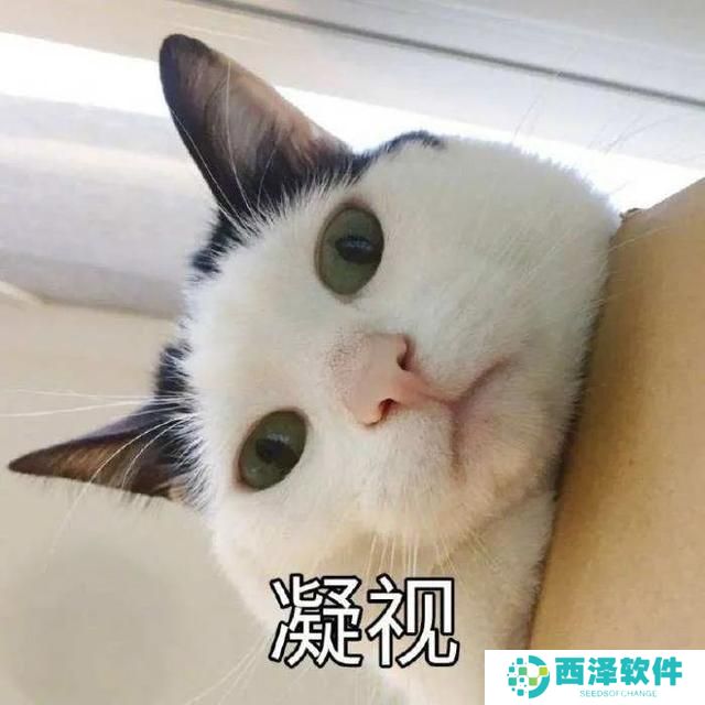 猫猫能有什么坏心眼呢表情包分享