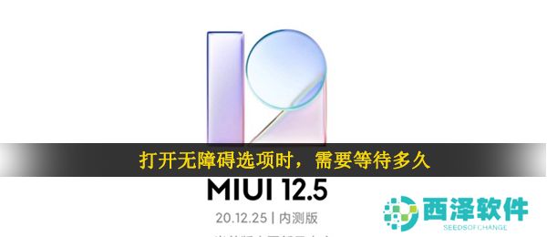 打开无障碍选项时，需要等待多久