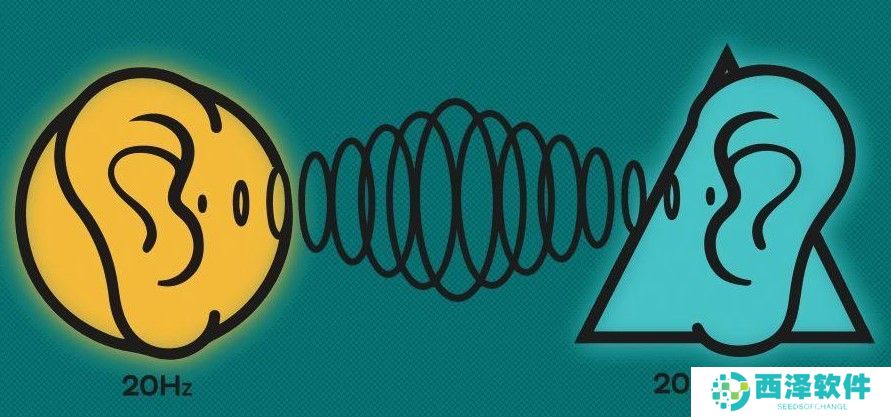 2020《微博》12月29日森林驿站每日一题答案