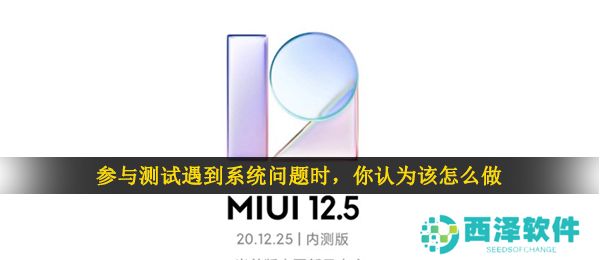 参与测试遇到系统问题时，你认为该怎么做