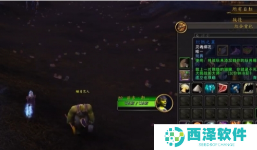 魔兽世界暗月马戏团炽燃之翼怎么获得
