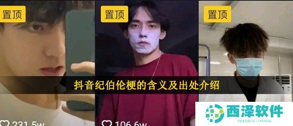 抖音纪伯伦梗的含义及出处介绍