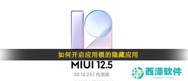 如何开启应用锁的隐藏应用