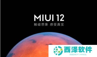 参与测试遇到系统问题时，你认为该怎么做