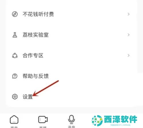 荔枝app如何设置音质1