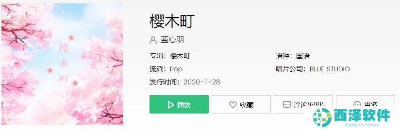 《抖音》樱木町歌曲信息介绍