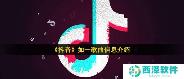 《抖音》如一歌曲信息介绍
