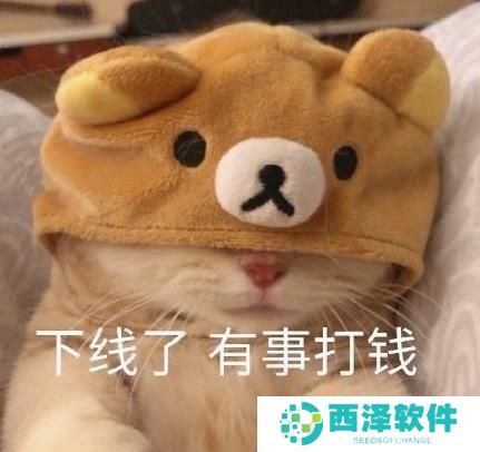 看完年度账单后的我最新表情包大全分享