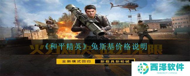 《和平精英》兔斯基价格说明