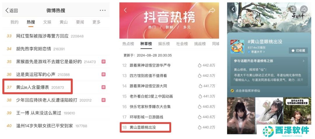 修练不止是传说！《寻道大千》×黄山文旅跨界联动进行中