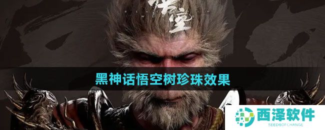 黑神话悟空树珍珠效果一览 黑神话悟空树珍珠有什么效果