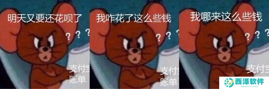 看完年度账单后的我最新表情包大全分享