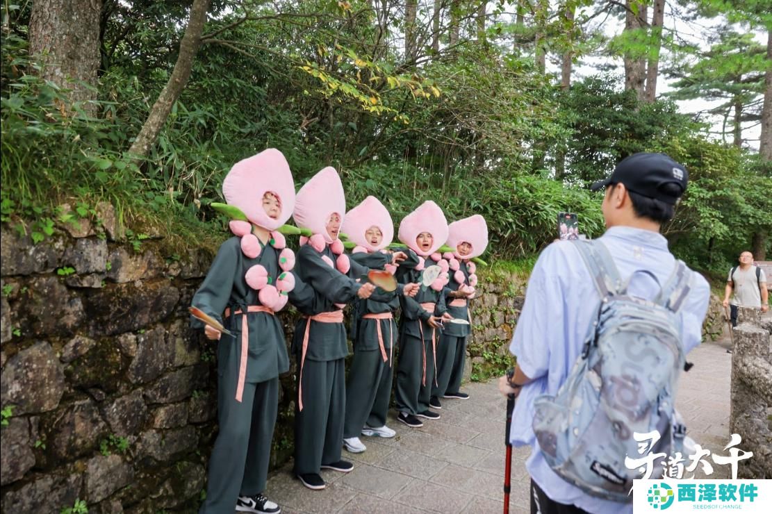 修练不止是传说！《寻道大千》×黄山文旅跨界联动进行中