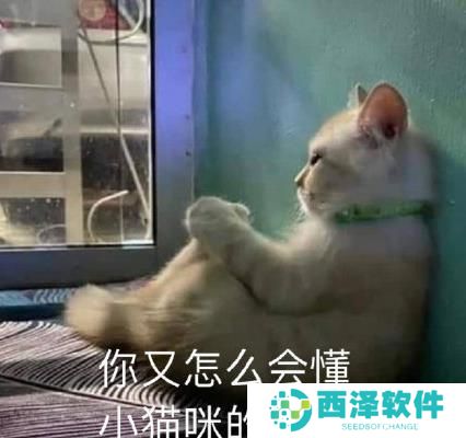 看完年度账单后的我最新表情包大全分享
