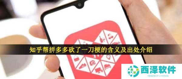 知乎帮拼多多砍了一刀梗的含义及出处介绍