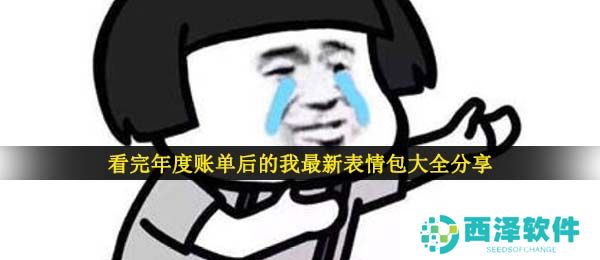 看完年度账单后的我最新表情包大全分享