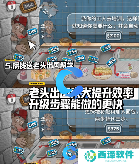 沙威玛传奇新手入坑攻略合集