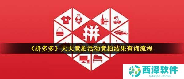 《拼多多》天天竞拍活动竞拍结果查询流程