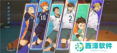 《排球少年：新的征程》国服手游评测：及川真的去给牛岛托球了，白鸟泽厨美梦成真