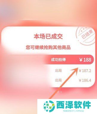 《拼多多》天天竞拍活动竞拍结果查询流程