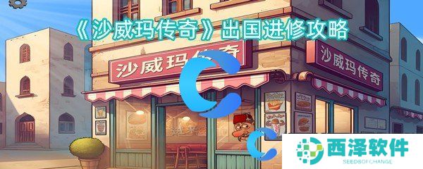 沙威玛传奇出国进修攻略