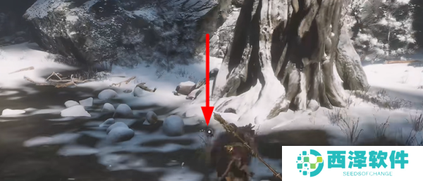 黑神话悟空老人参精精魄怎么获得 老人参精精魄获得方法