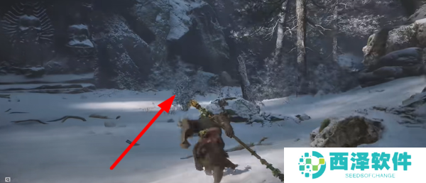 黑神话悟空老人参精精魄怎么获得 老人参精精魄获得方法