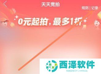 《拼多多》天天竞拍活动竞拍结果查询流程