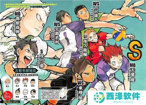 《排球少年：新的征程》国服手游评测：及川真的去给牛岛托球了，白鸟泽厨美梦成真