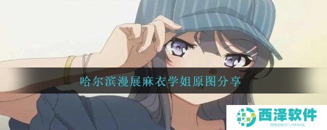 哈尔滨漫展麻衣学姐原图分享