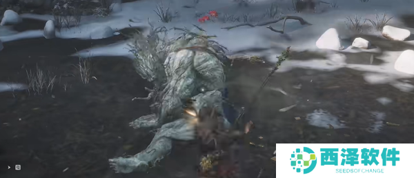 黑神话悟空老人参精精魄怎么获得 老人参精精魄获得方法