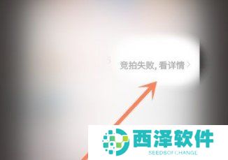 《拼多多》天天竞拍活动竞拍结果查询流程