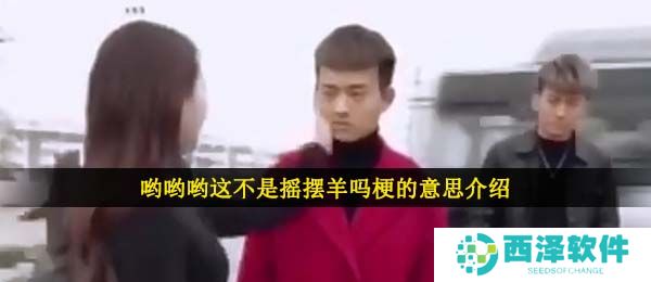 哟哟哟这不是摇摆羊吗梗的意思介绍