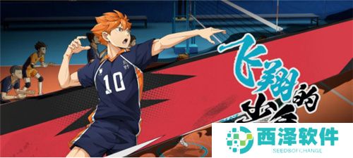 《排球少年：新的征程》国服手游评测：及川真的去给牛岛托球了，白鸟泽厨美梦成真