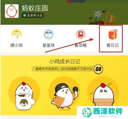 2021《支付宝》1月8日每日一题答案