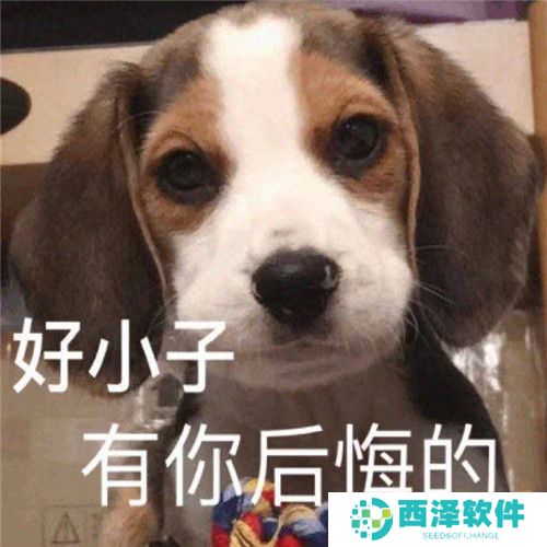 小狗勾能有什么坏心眼呢最新表情包大全分享
