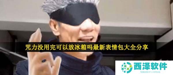 咒力没用完可以放冰箱吗最新表情包大全分享