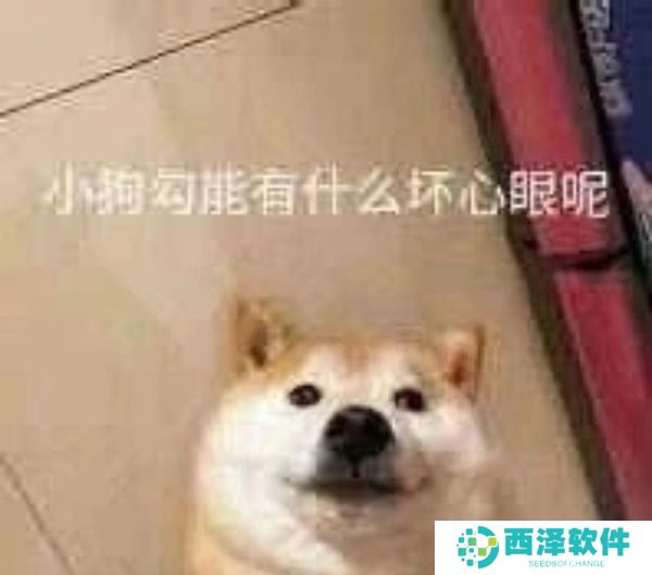 小狗勾能有什么坏心眼呢最新表情包大全分享