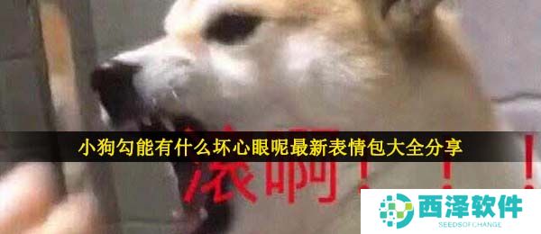 小狗勾能有什么坏心眼呢最新表情包大全分享