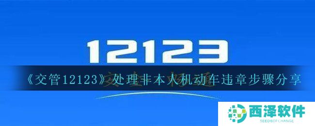 《交管12123》处理非本人机动车违章步骤分享
