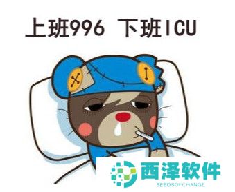 996 007梗的含义及出处介绍