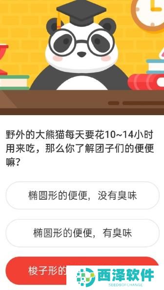 2021《微博》1月8日森林驿站每日一题答案