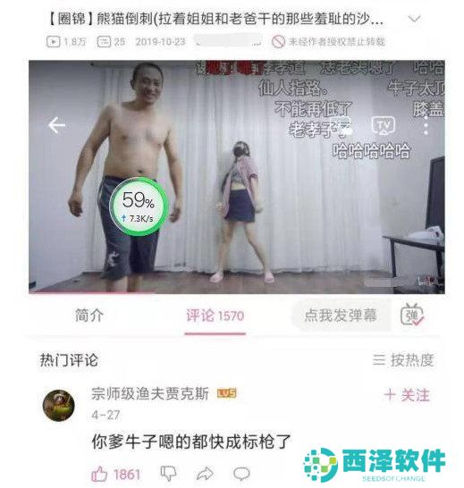 B站舞蹈区标枪梗的意思介绍